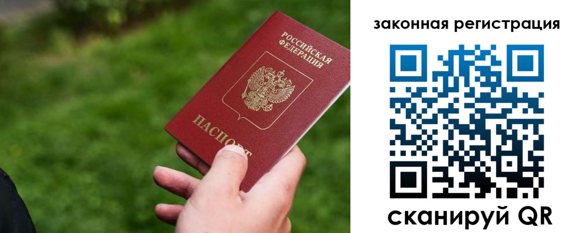 прописка законно в Сафоново